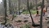 Tour Wandern Aywaille - Ninglinspo et les Fonds de Quarreux - Photo 14