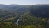 Trail Walking Saint-Antonin-Noble-Val - randonnée au dessus de St Antonin  - Photo 1