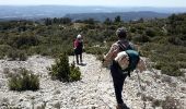 Trail Walking Cheval-Blanc - combe de lieues  - Photo 3