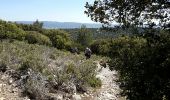 Trail Walking Cheval-Blanc - combe de lieues  - Photo 2