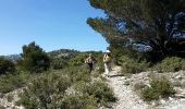 Trail Walking Cheval-Blanc - combe de lieues  - Photo 1