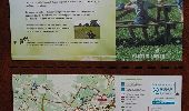 Trail Walking Sint-Truiden - Saint Trond Les Fruitiers 25 04 2017 - Photo 19