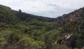 Randonnée Marche Buoux - PF-Buoux - Le Vallon de l'Aigue Brun - Photo 6