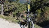 Excursión Bici de montaña Die - 24-04-2017 Les Batets/Marigniac/Chamaloc/Les Planeaux/Romeyer/Die/Les Batets - Photo 4