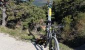 Tour Mountainbike Die - 24-04-2017 Les Batets/Marigniac/Chamaloc/Les Planeaux/Romeyer/Die/Les Batets - Photo 4