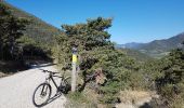 Excursión Bici de montaña Die - 24-04-2017 Les Batets/Marigniac/Chamaloc/Les Planeaux/Romeyer/Die/Les Batets - Photo 3