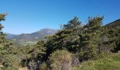 Excursión Bici de montaña Die - 24-04-2017 Les Batets/Marigniac/Chamaloc/Les Planeaux/Romeyer/Die/Les Batets - Photo 2