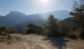 Excursión Bici de montaña Die - 24-04-2017 Les Batets/Marigniac/Chamaloc/Les Planeaux/Romeyer/Die/Les Batets - Photo 1