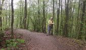 Trail Walking Bouillon - rochehaut 27 avril 2017 bias solets - Photo 6