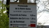 Trail Walking Bouillon - ROCHEHAUT (Crêtes & Echelles) - Photo 1
