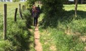 Trail Walking Voeren - Fouron-le-Comte - Photo 11