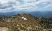 Randonnée Marche Quenza - Aiguilles de Bavella - Photo 8