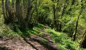 Trail Walking Zonza - sentier di Carbini - Photo 7