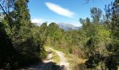 Trail Walking Zonza - sentier di Carbini - Photo 1