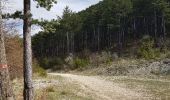 Tocht Mountainbike Recoubeau-Jansac - 30/04/2017 Recoubeau/Menglon/Les Gallands/ Col du Pinet/ Serre Long/l'Argilier (Miscon)Claps/ Luc/ Recoubeau - Photo 2