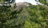 Trail Walking Ghisoni - Ballade col de Verde - Photo 3