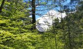 Randonnée Marche Ghisoni - Ballade col de Verde - Photo 2