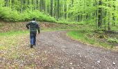 Trail Walking Saint-Loup-sur-Semouse - k)Etapa 11 - Photo 18