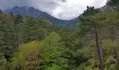 Tocht Stappen Vivario - ballade autour du fortin de Pasciolo - Photo 5