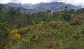 Tocht Stappen Vivario - ballade autour du fortin de Pasciolo - Photo 4