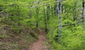 Trail Walking Vivario - Cascade des Anglais - Photo 7