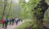 Excursión Otra actividad Bois-d'Arcy - rando du 4 5 2017 - Photo 13