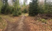 Trail Walking Xertigny - l)Etapa 12 - Photo 18