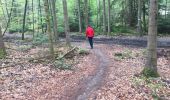 Trail Walking Xertigny - l)Etapa 12 - Photo 17