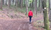 Trail Walking Xertigny - l)Etapa 12 - Photo 16