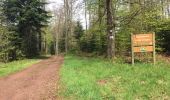 Trail Walking Xertigny - l)Etapa 12 - Photo 9