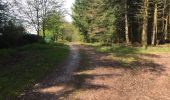 Trail Walking Xertigny - l)Etapa 12 - Photo 6