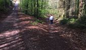 Trail Walking Xertigny - l)Etapa 12 - Photo 5