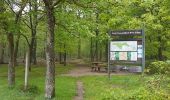 Trail Walking Bois-d'Arcy - rando du 04/05/2017 - Photo 5