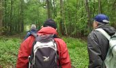 Trail Walking Bois-d'Arcy - rando du 04/05/2017 - Photo 3