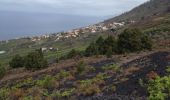 Percorso Marcia Fuencaliente de la Palma - Volcan San antonio - Salinas de Fuencaliente trajet 1 - Photo 7