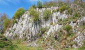 Trail Walking Orcines - Orcine-Montrodeix_T - Photo 1