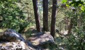 Randonnée Marche Viroinval - La découverte de la Calestienne – La roche du Pas - Photo 1