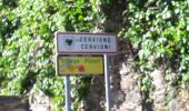 Tocht Stappen Valle-di-Campoloro - 20 CERVIONE SCUBICCIA - Photo 6