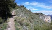 Trail Walking Monêtier-Allemont - Pic de Crigne. - Photo 6