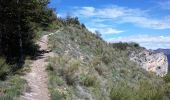 Tour Wandern Monêtier-Allemont - Pic de Crigne. - Photo 6