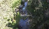 Tocht Stappen Saint-Vallier-de-Thiey - Climb from the river Siagne to Escragolles - Photo 4