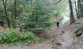 Trail Walking Golbey - Bouzey 20500m +444m - Photo 5