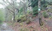 Trail Walking Golbey - Bouzey 20500m +444m - Photo 3