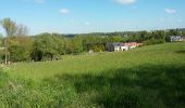 Excursión Senderismo Braine-le-Château - Braine-le-Chateau 09 05 2017 Nathalie Demain - Photo 4