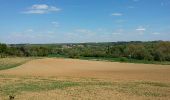 Excursión Senderismo Braine-le-Château - Braine-le-Chateau 09 05 2017 Nathalie Demain - Photo 13