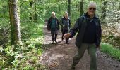 Trail Walking Saint-Lambert - rando du 11/05/2017 - Photo 2