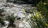 Excursión Senderismo Saumane-de-Vaucluse - ISLE-sur-la-Sorgue (SAUMANE -Casemates troglodytes) - Photo 3