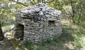 Trail Walking Saumane-de-Vaucluse - ISLE-sur-la-Sorgue (SAUMANE -Casemates troglodytes) - Photo 2