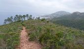 Trail Walking Saint-Raphaël - Tour du pic du Cap Roux - Photo 1