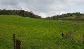 Tour Wandern Falkenburg an der Göhl - Schin op Geul - Photo 13